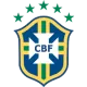 巴西 队徽