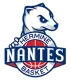 南特 队徽