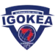 伊戈卡 队徽